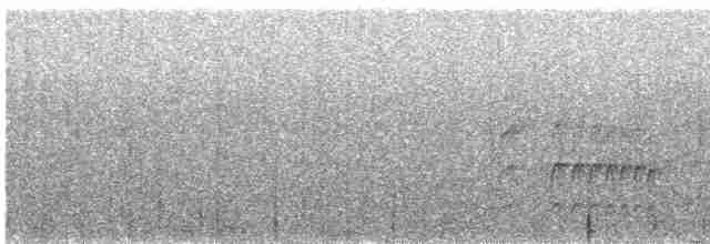 Dunkelbrust-Dickichtschlüpfer - ML619573475
