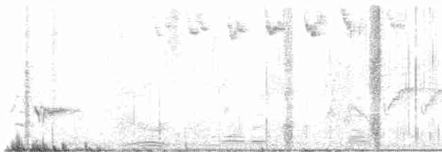Paruline rayée - ML619573538