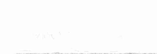 Шишкар ялиновий - ML619574198