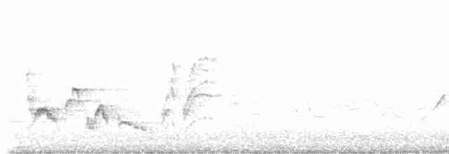 Gartengrasmücke - ML619574415