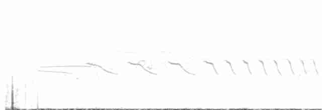 Черногорлая хвойница - ML619574466