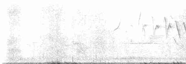 Бледная малая овсянка - ML619574519