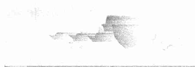 Капюшоновая древесница - ML619575206