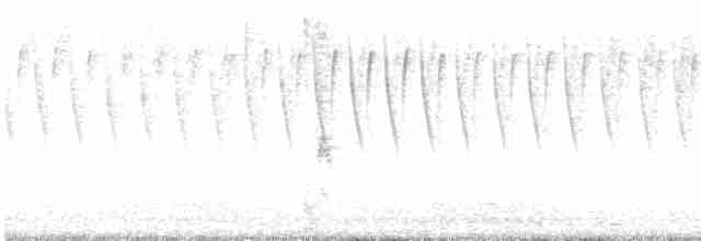 Paruline à calotte noire - ML619575282