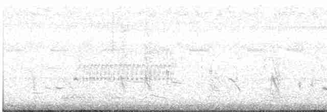 vlhovec červenokřídlý - ML619575308