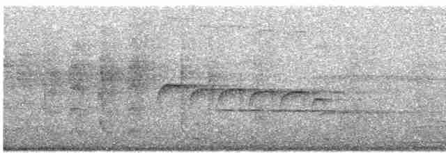 Braunkappen-Kleintyrann - ML619575503