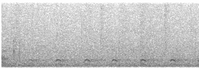 Slaty-tailed Trogon (Massena) - ML619575578