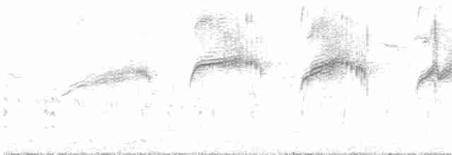 ヨーロッパアマツバメ - ML619575695