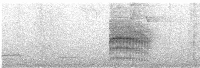 Kestane Sırtlı Karıncakuşu - ML619575712