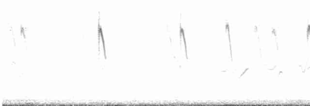 棕扇尾鶯 - ML619575801