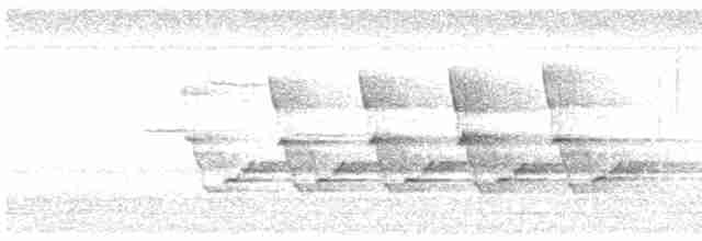 Каролинский крапивник - ML619575933