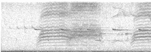 Great Gray Shrike - ML619575982