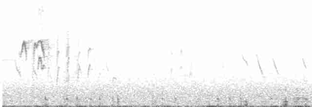 vlaštovka obecná - ML619576081
