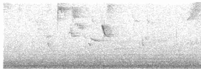 Turuncu Gagalı Bülbül Ardıcı - ML619576235