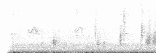 Clamorous Reed Warbler - ML619576251