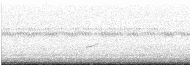 Дрізд-короткодзьоб Cвенсона - ML619576275