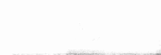 Klappergrasmücke - ML619576412
