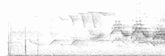 Дрізд-короткодзьоб бурий - ML619576480