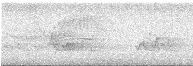 Ширококрылый канюк - ML619576663