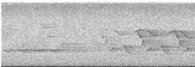 Трясогузковый певун - ML619576703