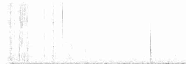 lesňáček černobílý - ML619577065