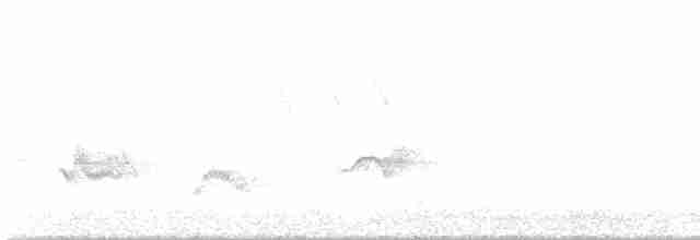 Чернокрылая пиранга - ML619577086