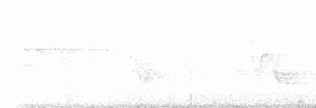 Paruline vermivore - ML619578227