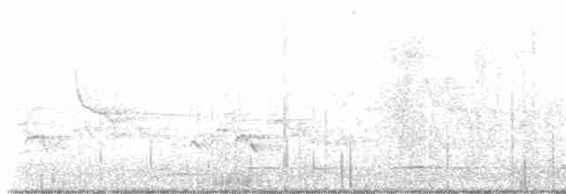 Черногорлая хвойница - ML619578486