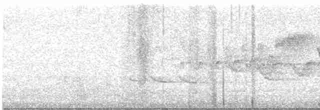 Cerulean Warbler - ML619578877