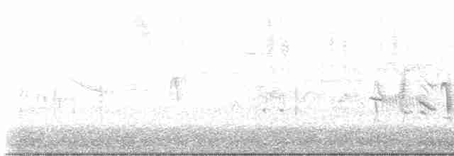 Braunaugenvireo (pusillus) - ML619579034