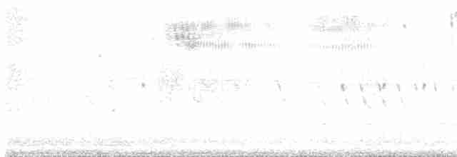 Bruant sauterelle - ML619579314