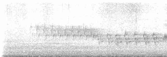 Зяблик звичайний - ML619579510