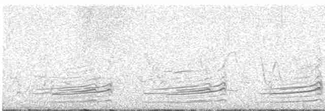 Пятнистый веретенник - ML619579511