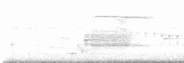 Голубокрылая червеедка - ML619579959