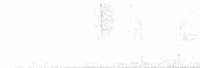 קוקיה שחורת-מקור - ML619580040