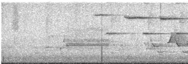 Поплітник каролінський - ML619580189
