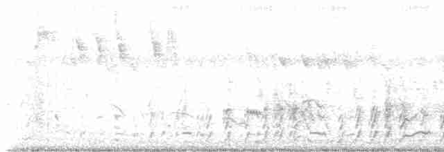 Kara Afrika Yelvesi - ML619580243