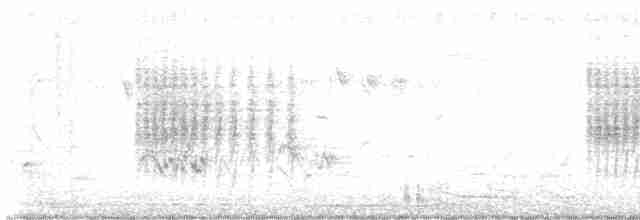 Белокрылый тугайный соловей - ML619580484