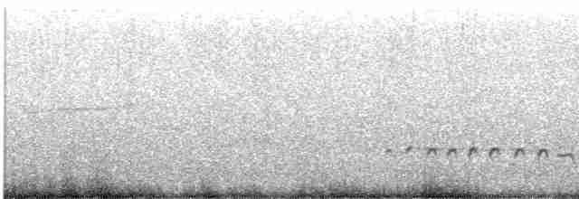 Средний кроншнеп - ML619580699