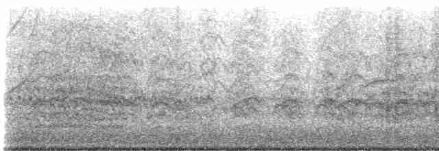 Мексиканская аратинга (holochlorus/brewsteri) - ML619580744