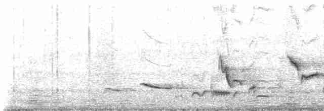 Дроздовая пальмара - ML619580747