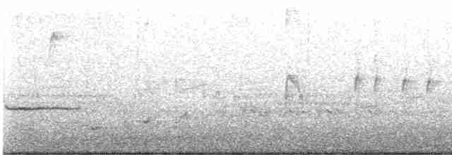 Длинноклювый пересмешник - ML619580878