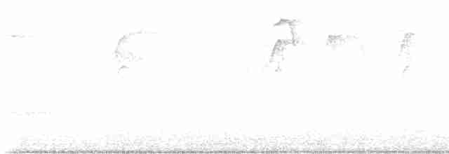 Каролинский крапивник - ML619581505