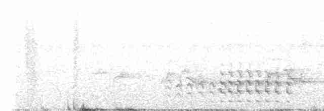 Сантамартийскый лесовик - ML619581657