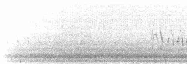 Дрізд-короткодзьоб малий - ML619581720