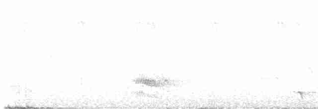 アフリカズキンコウライウグイス - ML619582236