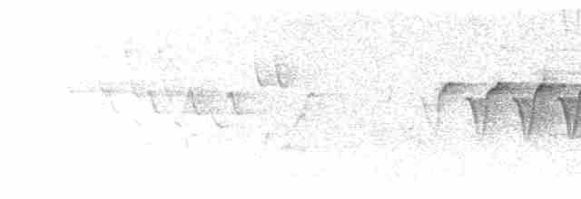 Мангровая древесница [группа aestiva] - ML619582273