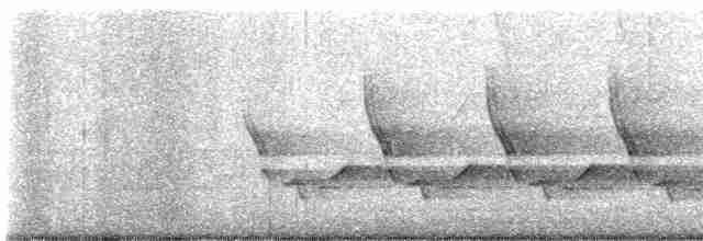 Поплітник каролінський - ML619582293