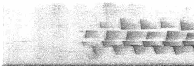 Поплітник каролінський - ML619582528