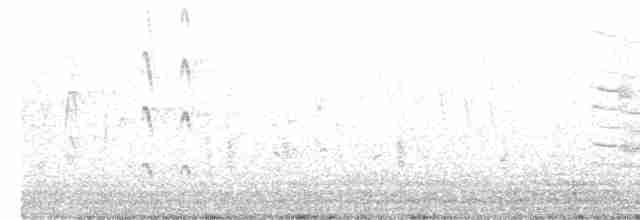 Красноклювая древесная утка - ML619583402
